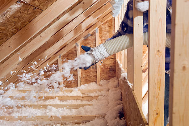 Best Attic Insulation Installation  in Taylors Falls, MN